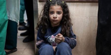 الحزب الديمقراطي: إسرائيل انتهكت القانون الأمريكي في تقييد المساعدات الإنسانية لغزة - مصر النهاردة