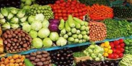 «حققنا الاكتفاء الذاتي».. الحكومة تعلن ارتفاع إنتاج مصر من الخضراوات الـ 25 مليون طن - مصر النهاردة