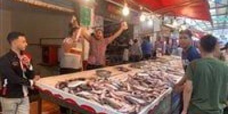 غرفة بورسعيد تؤكد استمرار التراجع في أسعار الأسماك.. والسردين بـ50 جنيها - مصر النهاردة