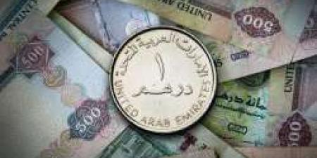 سعر الدرهم الإماراتي أمام الجنيه المصري اليوم السبت 4-5-2024 - مصر النهاردة