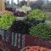 أسعار الخضراوات والفاكهة بالأقصر اليوم الخميس - مصر النهاردة