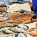 أسعار الأسماك اليوم، السبيط يسجل 420 جنيهًا في سوق العبور - مصر النهاردة