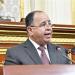 وزير المالية يكشف أمام النواب جهود تقوية الاقتصاد الوطني - مصر النهاردة