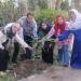 تنفيذ مباردة "ازرع شجرة" بكلية الزراعة جامعة عين شمس - مصر النهاردة