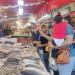 صياد من بورسعيد: نتعرض لخسائر كبيرة بسبب مقاطعة شراء الأسماك (فيديو) - مصر النهاردة