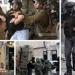 نادي الأسير وهيئة الأسرى: الاحتلال الإسرائيلي يعتقل 8455 مواطنًا من الضفة - مصر النهاردة