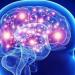 دراسة: تذكر الأشياء على المدى الطويل يؤثر على خلايا الدماغ - مصر النهاردة