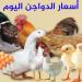 أسعار الفراخ البيضاء في بورصة الدواجن اليوم الخميس 25-4-2024 - مصر النهاردة