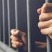حبس عاطل حاول إدخال مخدرات لمسجون أثناء دخوله المستشفى بالبحيرة 4 أيام - مصر النهاردة
