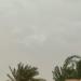رفع درجة الاستعداد القصوى لمواجهة سوء الأحوال الجوية بالوادي الجديد - مصر النهاردة