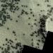 حقيقة ظهور عناكب على سطح المريخ - مصر النهاردة