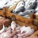 صدمة جديدة بـ أسعار السمك اليوم الأحد 28 أبريل 2024 في القاهرة والمحافظات بعد المقاطعة | تفاصيل - مصر النهاردة