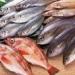 أسعار الأسماك اليوم الأحد 28 أبريل 2024 بالأسواق - مصر النهاردة