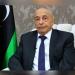 رئيس البرلمان الليبي: جاهزون للانتخابات الرئاسية والبرلمانية 2024 - مصر النهاردة