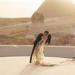 الملياردير الهندي Ankur Jain يكشف لـ القاهرة 24 سبب إقامة حفل زفافه بمصر - مصر النهاردة