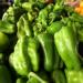 أسعار الخضراوات اليوم، الثوم يقفز لـ 40 جنيهًا في سوق العبور - مصر النهاردة