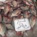 من 130 إلى 50 جنيها.. تعرف على متوسط أسعار الأسماك بعد نجاح مقاطعة بورسعيد ( صور) - مصر النهاردة