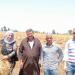فرحة بين مزارعي الدقهلية بموسم حصاد الكتان (صور) - مصر النهاردة
