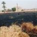 حريق في قطعة أرض مشونة بمحصول القمح بسوهاج.. والحماية المدنية تسيطر على النيران - مصر النهاردة