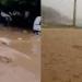 السيول تجتاح لبنان وتغمر المستشفيات (فيديو وصور) - مصر النهاردة