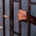 تجديد حبس 3 أشخاص بتهمة قتل مواطن بالجيزة - مصر النهاردة
