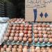 الكرتونة بـ 80 جنيها، مبادرة جديدة في الشرقية لتخفيض أسعار البيض (فيديو وصور) - مصر النهاردة
