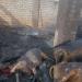 حريق يلتهم 6 رؤوس ماشية وفدان قمح بأسيوط | صور - مصر النهاردة