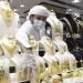 ارتفاع جديد في أسعار الذهب اليوم الجمعة في السعودية ومفاجأة في عيار 24 - مصر النهاردة