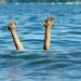 سقط بالخطأ.. مصرع شخص غرقًا في مياه النيل بأسوان - مصر النهاردة
