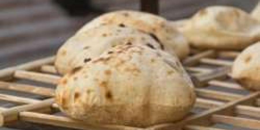 تحرك عاجل من التموين لخفض أسعار رغيف الخبز.. بشرى سارة - مصر النهاردة