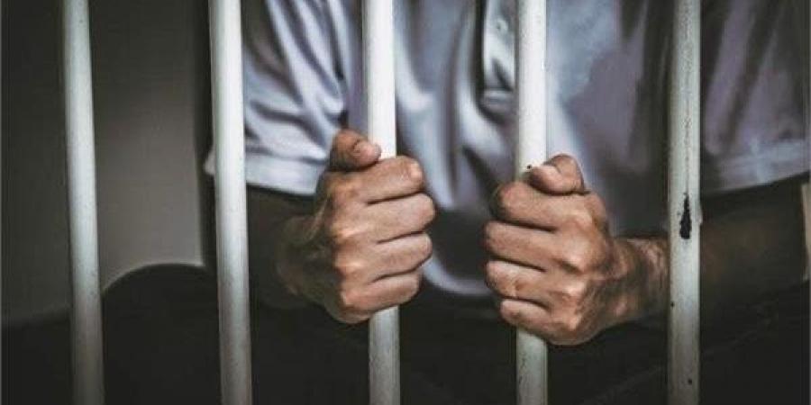 حبس نجار متهم بسرقة شقة في الشرابية - مصر النهاردة