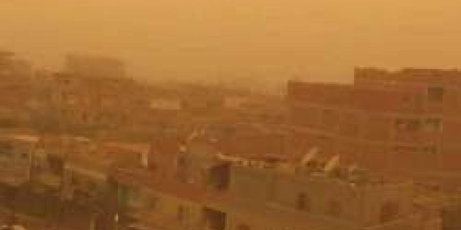 تصريح هام من «الأرصاد» بشأن انتشار الذباب الصحراوي في مصر مع وصول رياح الخماسين - مصر النهاردة
