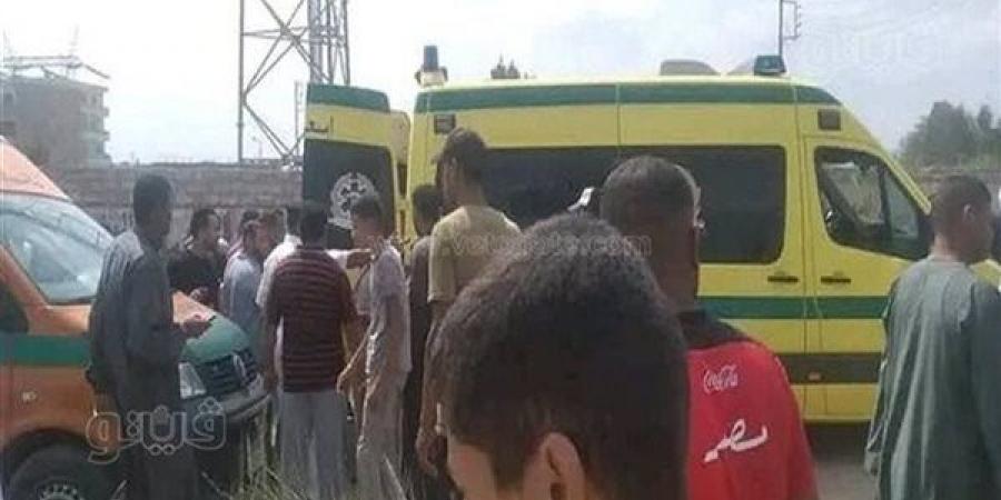 مصرع شخص وإصابة 6 آخرين في تصادم سيارتين ومركبتين توك توك بالدقهلية - مصر النهاردة