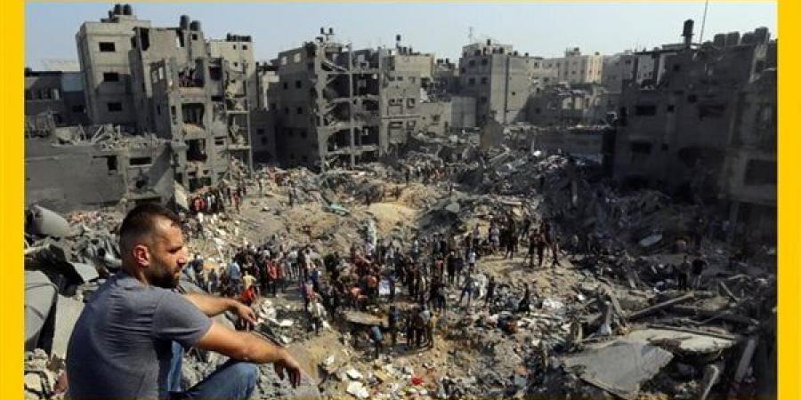 7 أشهر من العدوان على غزة، شهداء بالآلاف بنيران قوات الاحتلال (إنفوجراف) - مصر النهاردة