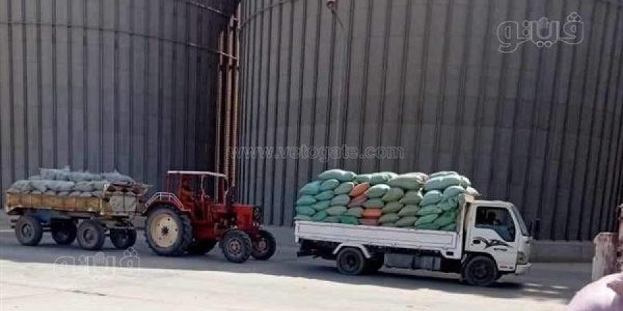 توريد 2848 طنًا من محصول القمح إلى صوامع المنيا خلال 5 أيام - مصر النهاردة
