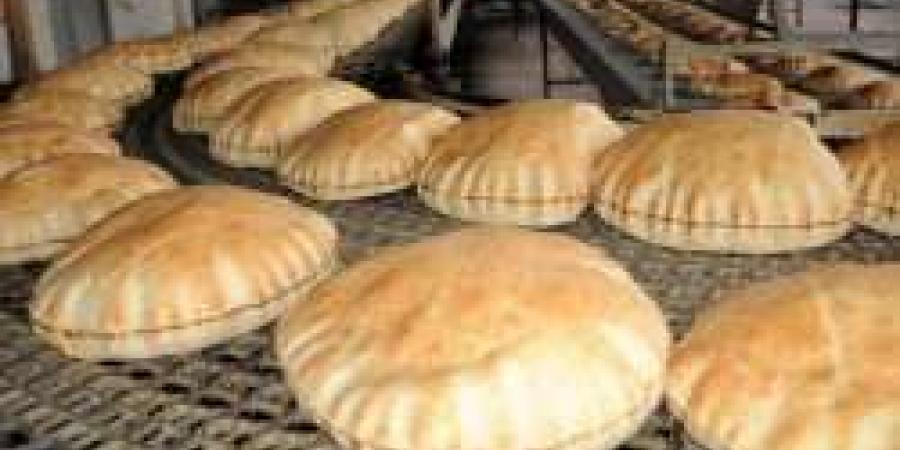 الخبز السياحي يُباع بالكيلو اعتبارًا من غد الأحد بأسعار جديدة - مصر النهاردة