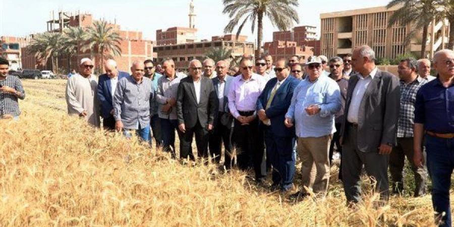 محافظ الشرقية يشهد افتتاح موسم حصاد القمح 2024 - مصر النهاردة