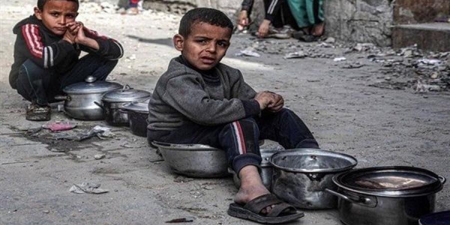 حرب تجويع غزة، تفاقم الأزمة الإنسانية بين سكان القطاع مع عرقلة دخول المساعدات - مصر النهاردة