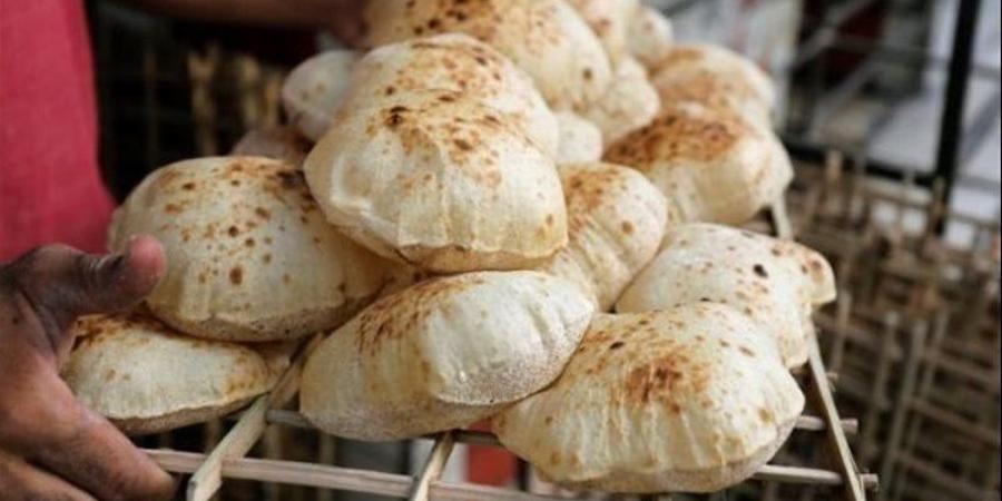 بدءا من اليوم، تطبيق الأسعار الجديدة للخبز السياحي والفينو - مصر النهاردة