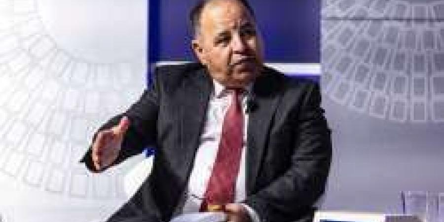وزير المالية: التوتر في المنطقة يهدد إيرادات قناة السويس والسياحة والاستثمار - مصر النهاردة