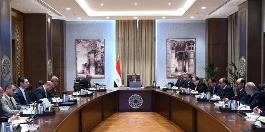 رئيس الوزراء يتابع جهود تفعيل التعاون بين مصر وجنوب السودان - مصر النهاردة