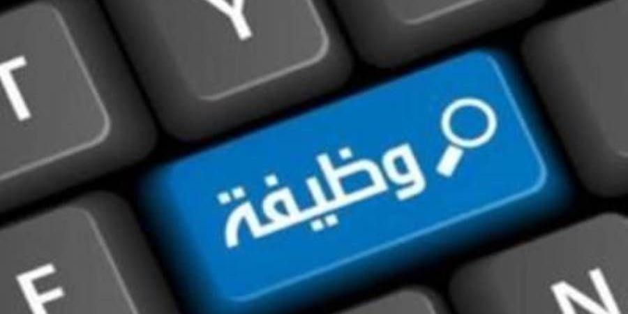 3 وظائف خالية في البنك العربي الإفريقي الدولي «التفاصيل وطريقة التقديم» - مصر النهاردة