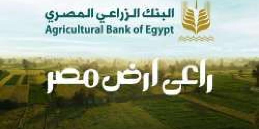 البنك الزراعي المصري يبدأ استلام محصول القمح من المزارعين والموردين في 190 موقع على مستوى الجمهورية ( صور ) - مصر النهاردة