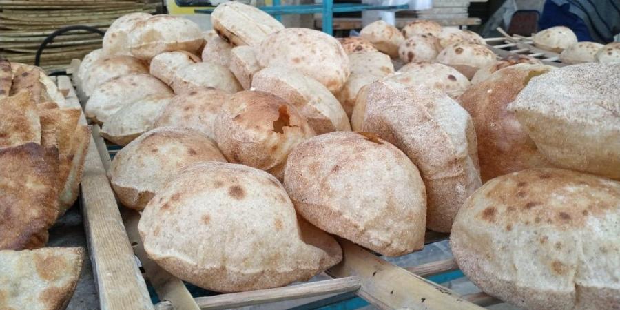 أسعار الخبز السياحي والفينو اليوم الأحد - مصر النهاردة