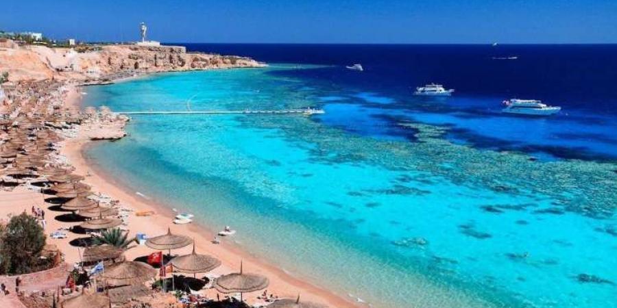 عاجل | شركة سعودية تستثمر 1.5 مليار دولار في مشروعات سياحية ضخمة بمنطقة رأس جميلة - مصر النهاردة