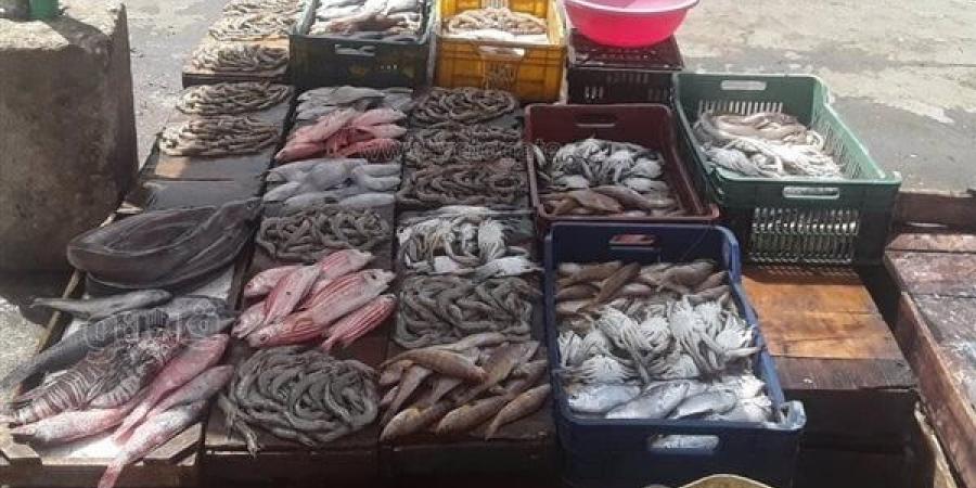 منسق مبادرة مقاطعة الأسماك: مستمرون لما بعد شم النسيم حتى تنخفض 50% - مصر النهاردة