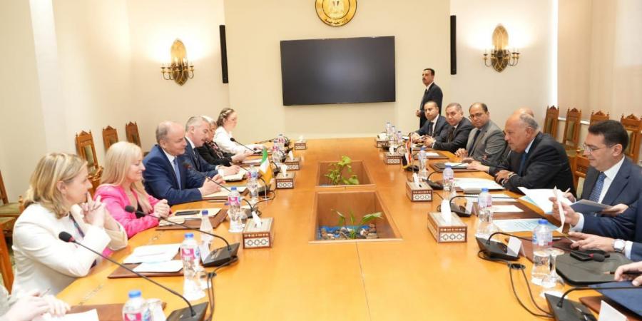 جلسة مشاورات موسعة بين وزير الخارجية ونظيره الأيرلندى (صور) - مصر النهاردة