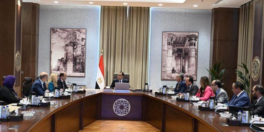 رئيس الوزراء يلتقي مسئولي شركة "كوفي كاب" لتصنيع الكابلات الكهربائية - مصر النهاردة