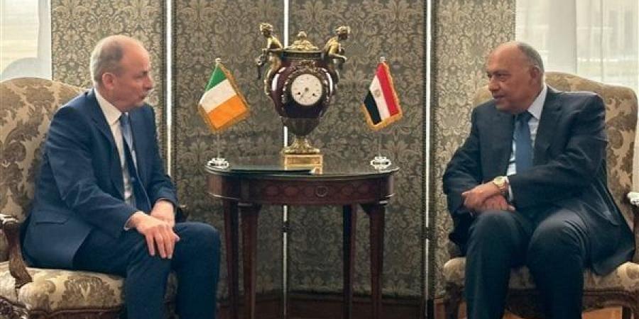 وزير خارجية أيرلندا: قدمنا طلبا لمحكمة العدل الدولية بشأن اكتشاف المقابر الجماعية فى غزة - مصر النهاردة