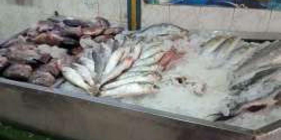 «بعد خليها تعفن».. تراجع كبير في أسعار الأسماك اليوم الثلاثاء 23 أبريل 2024 - مصر النهاردة